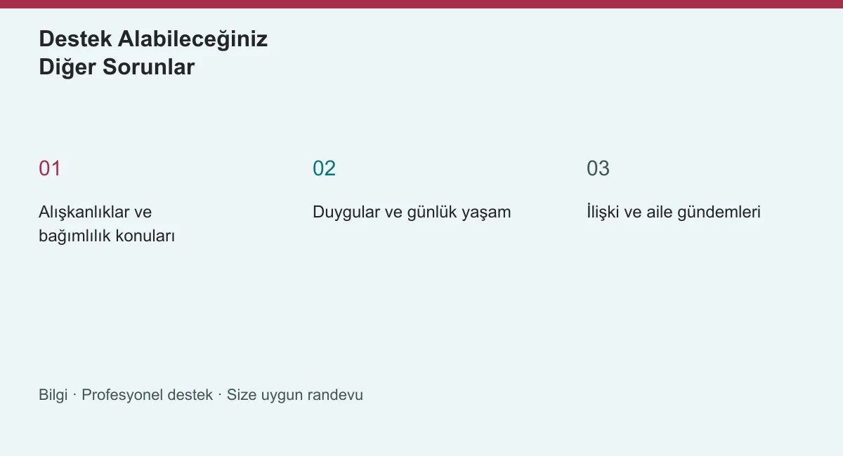 Destek Alabileceğiniz Diğer Sorunlar | Panik Atak Nasıl Geçer? Destek Alabileceğiniz Diğer Sorunlar konusunun ana başlıklarını gösteren özgün bilgi şeması
